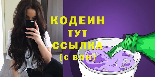 дживик Бородино