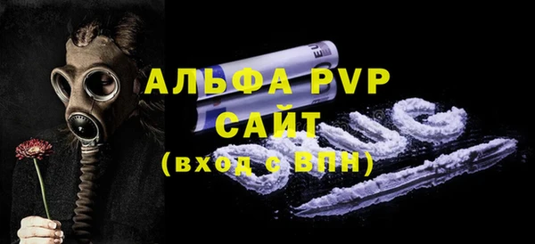 дживик Бородино