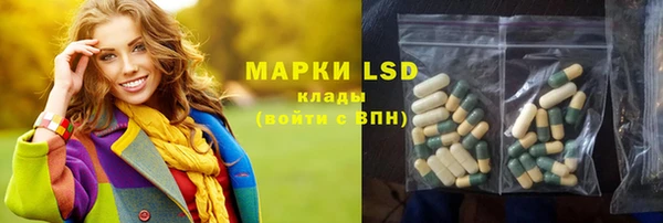 дживик Бородино