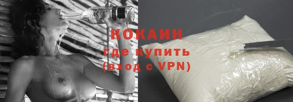 дживик Бородино
