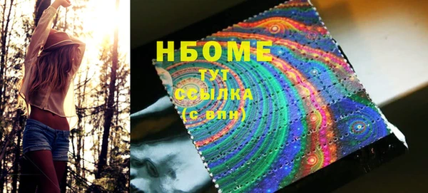 дживик Бородино
