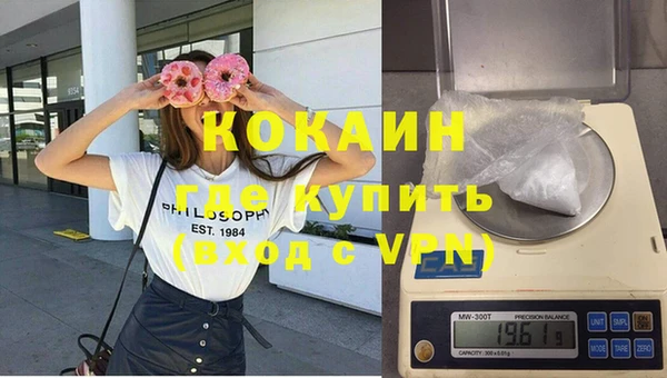 дживик Бородино