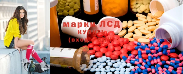 прущие грибы Богданович