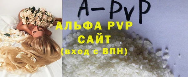 дживик Бородино
