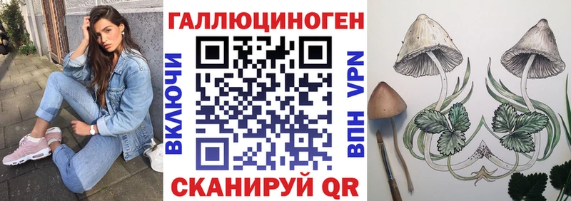 Псилоцибиновые грибы Psilocybe Шали